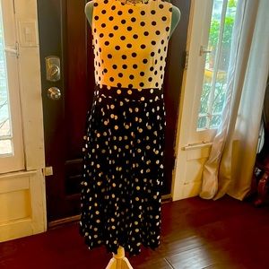 Zara Polka Dot Dress